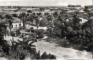 HAMMAM BOU HADJAR 515- PARC DES VIEUX BAINS COLLECTION DES AMIS DE ND DE SANTA CRUZ